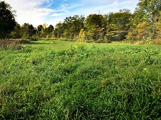 Nice southern Clinton County potential building lot or sportsman's paradise located close to Lebanon and Antioch south of Frankfort, Indiana.  The lot has been preliminarily scored by Clinton County Area Plan with a passing score for home site pending DNR flood plain evaluation.  There are additional wooded acres available that are on the north side and adjoin this property.  There is a recent timber opinion available on projected value.  Contact sales manager for information on additional acreage and timber value. - 25 Acre Wooded & Pasture Land - Southern Clinton County